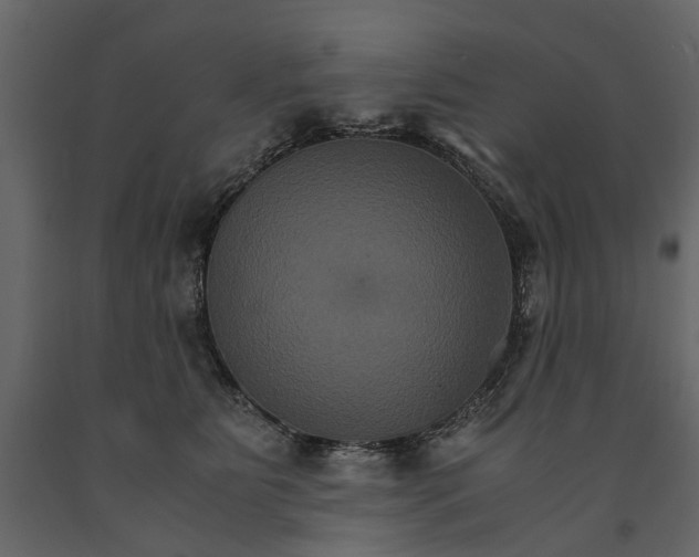 X0000091080515200708271239