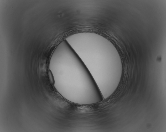 X0000091080516200708271239