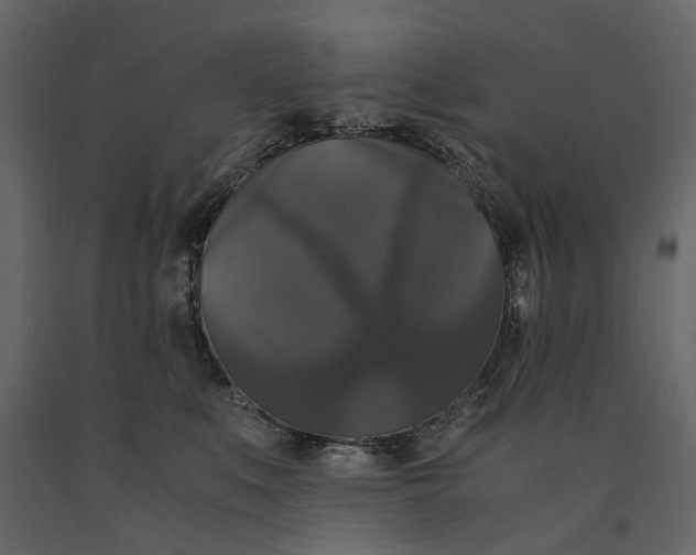 X0000091080519200708271239