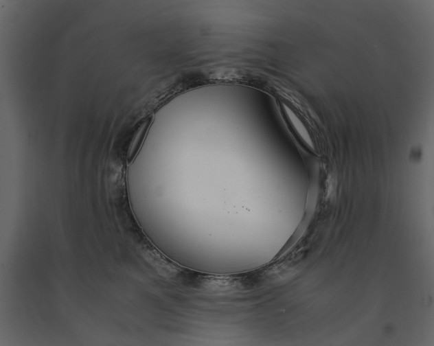 X0000091080521200708271238