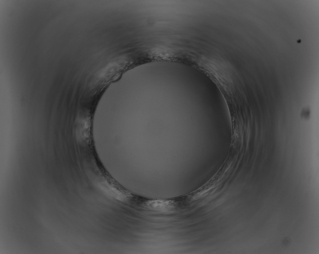 X0000091080526200708271238