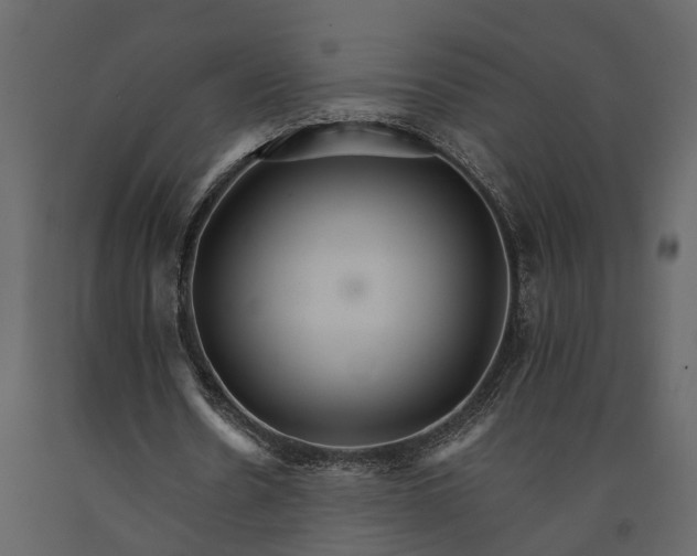 X0000091080530200708271238