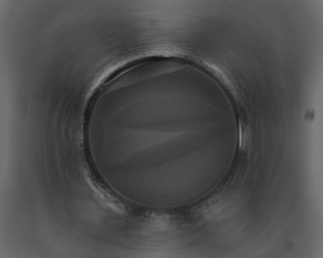 X0000091080531200708271238