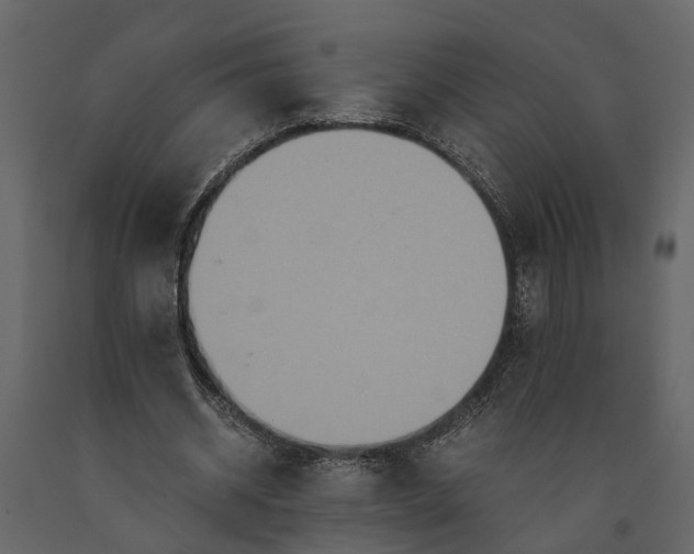 X0000091080534200708271238