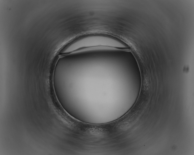 X0000091080535200708271238