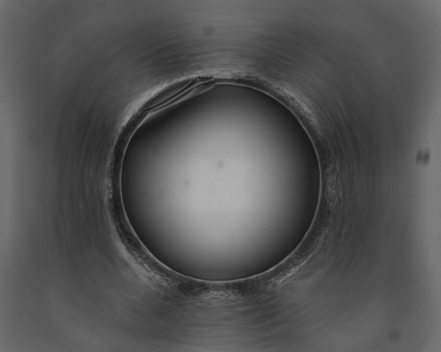 X0000091080536200708271238