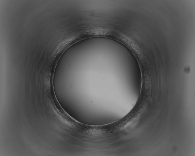 X0000091080537200708271238