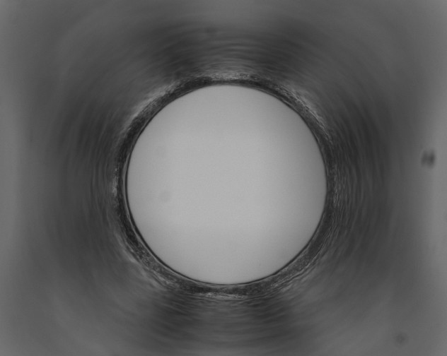 X0000091080539200708271238