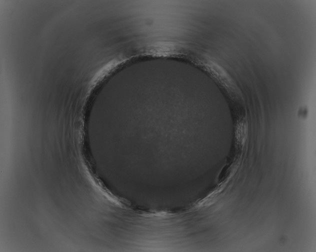 X0000091080540200708271238