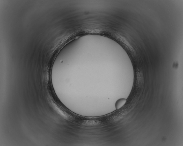 X0000091080541200708271238