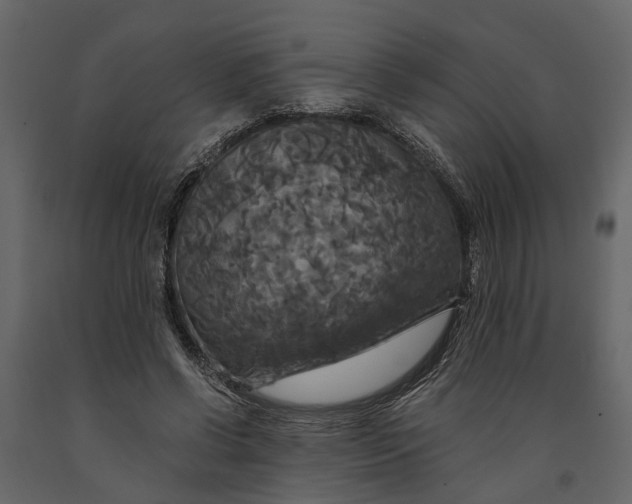 X0000091080542200708271238