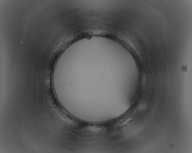 X0000091080545200708271238