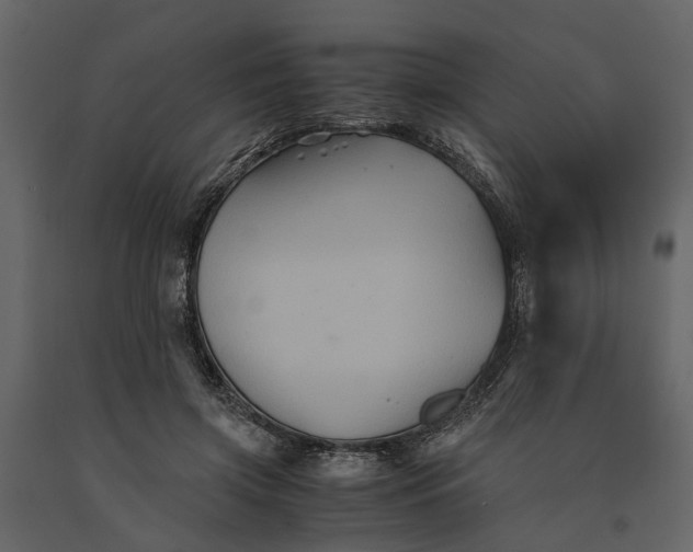 X0000091080549200708271238