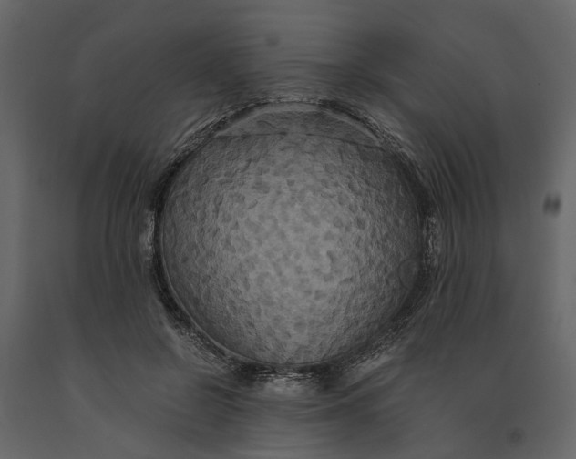 X0000091080550200708271238