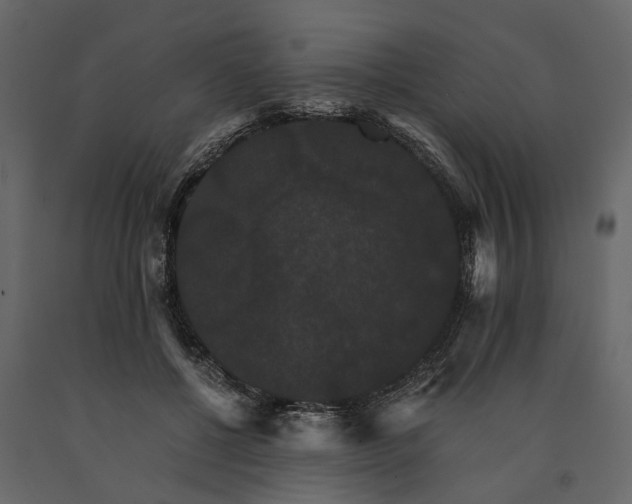 X0000091080552200708271238