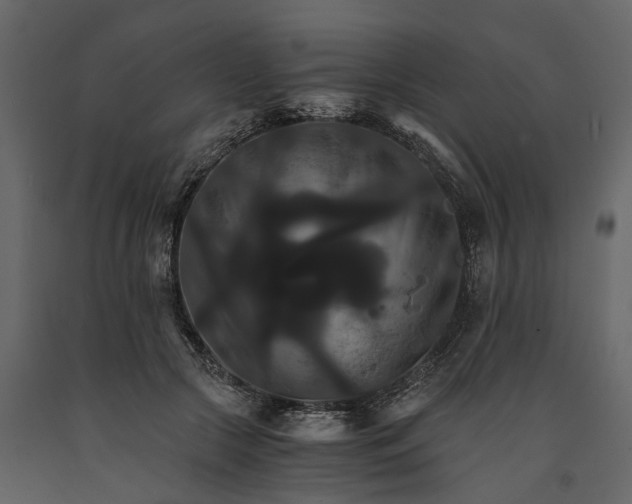 X0000091080553200708271238