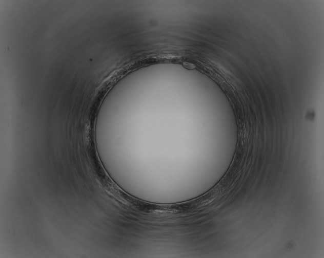 X0000091080556200708271238