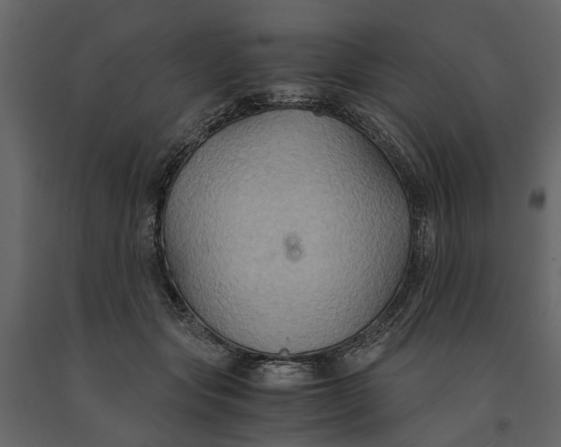 X0000091080557200708271238