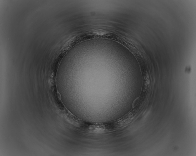 X0000091080559200708271238