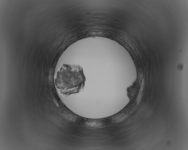 X0000091080561200708271238