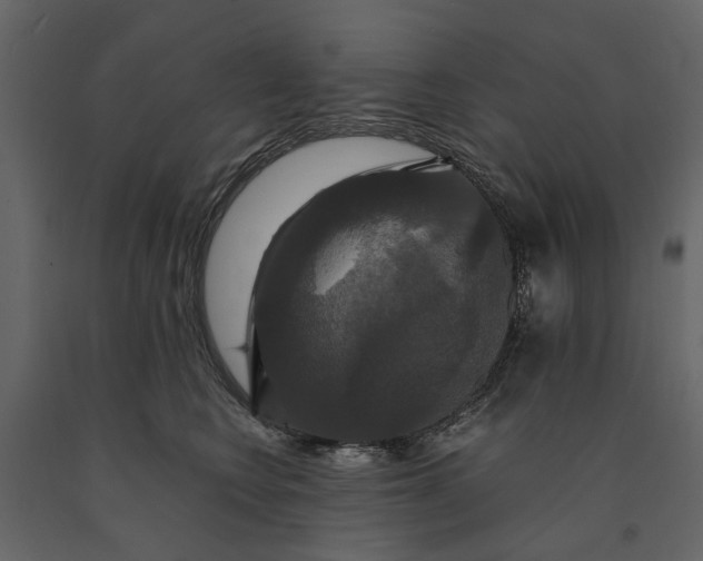 X0000091080566200708271238