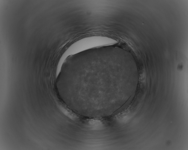 X0000091080572200708271238