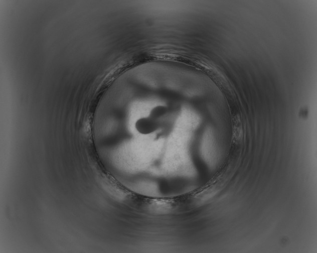 X0000091080573200708271238