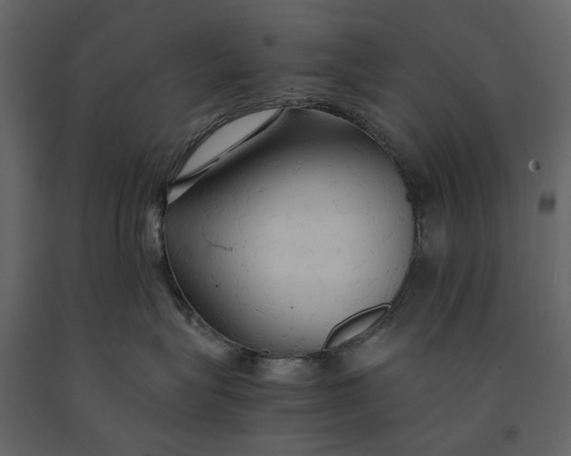 X0000091080575200708271238