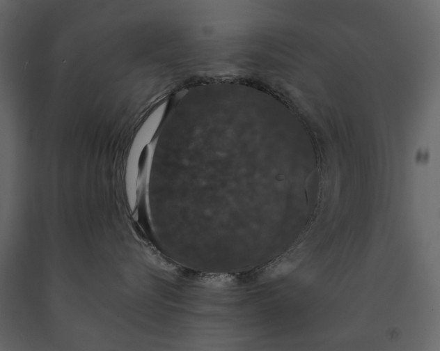 X0000091080576200708271238