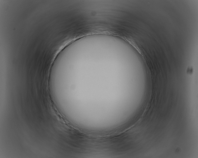 X0000091080579200708271238