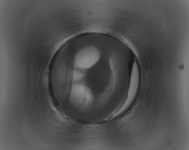 X0000091080580200708271238