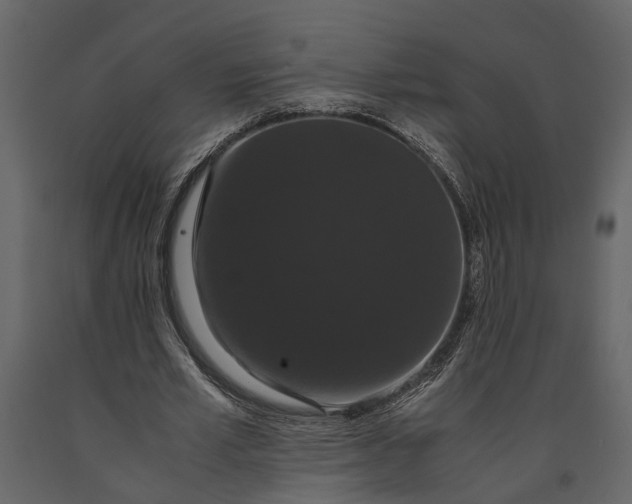 X0000091080581200708271238