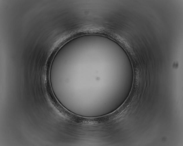 X0000091080582200708271238