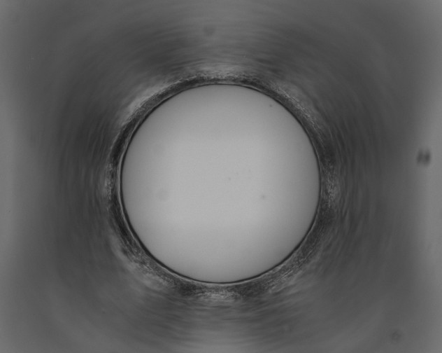 X0000091080583200708271238