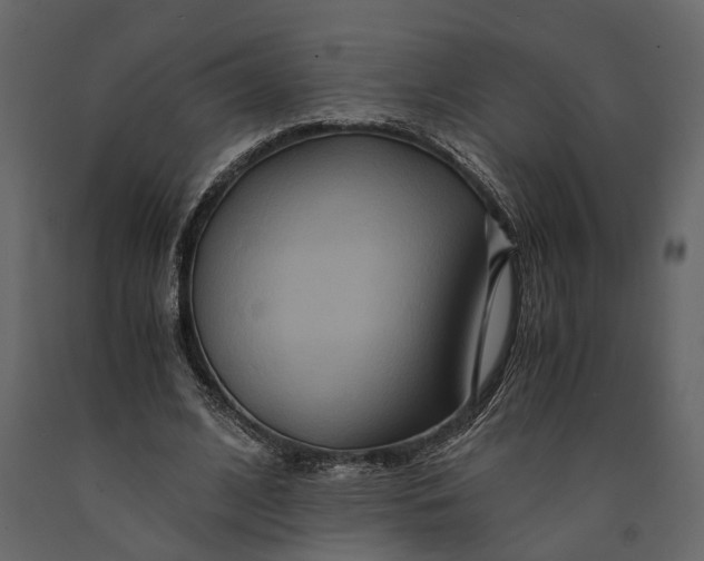 X0000091080584200708271238