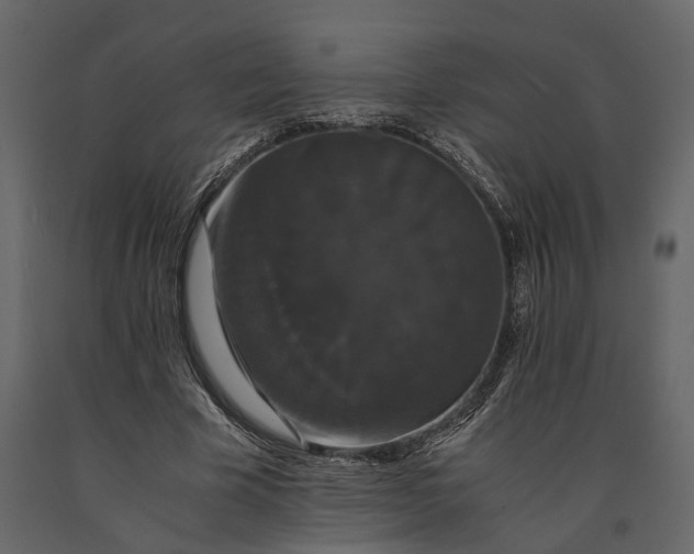 X0000091080585200708271238