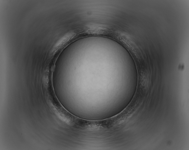 X0000091080586200708271238