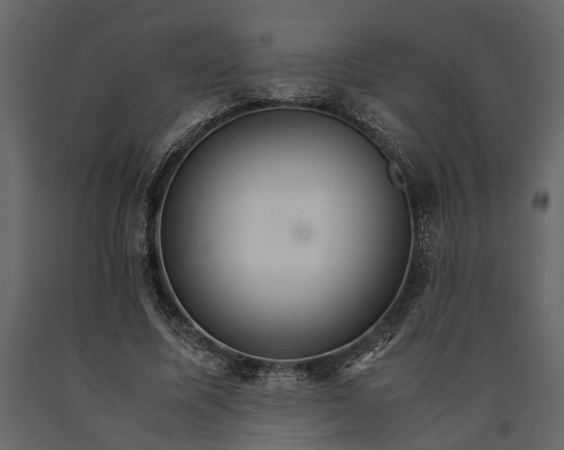 X0000091080587200708271238