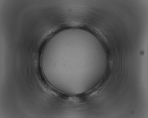 X0000091080591200708271238