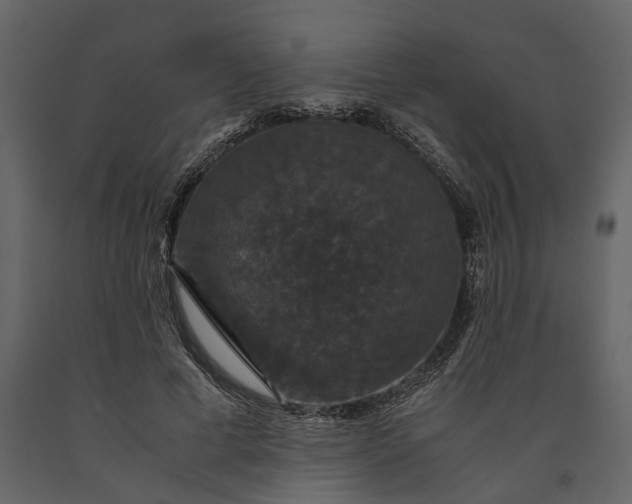 X0000091080593200708271238