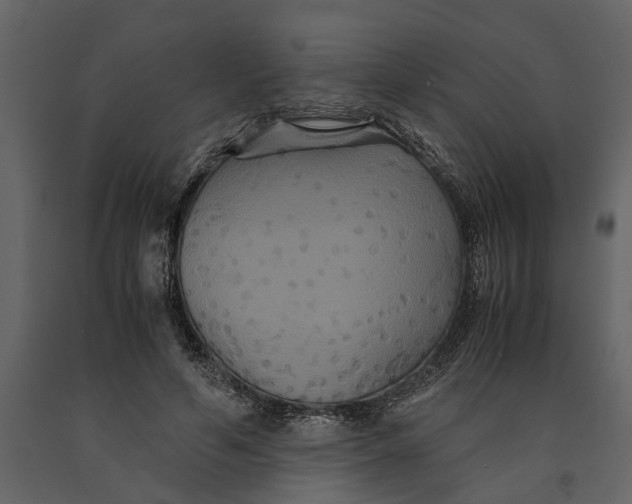 X0000091080594200708271238