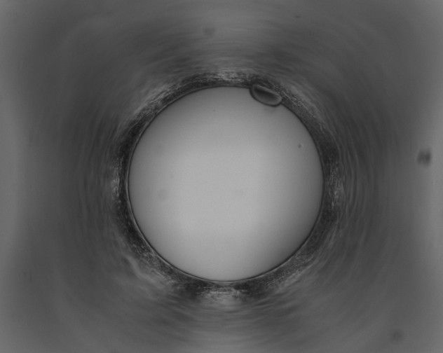 X0000091080595200708271238