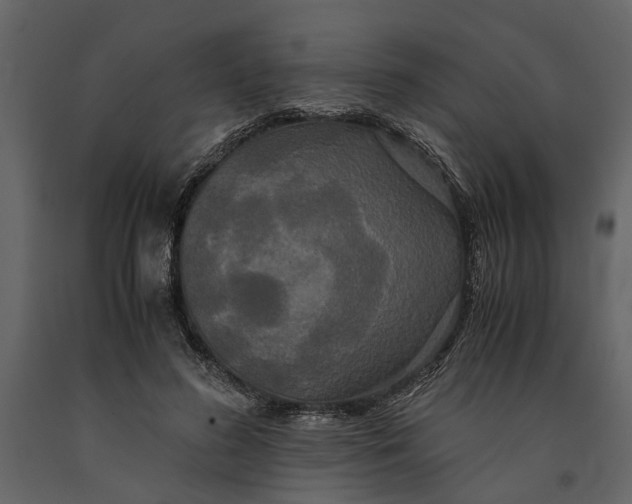 X0000091080596200708271238