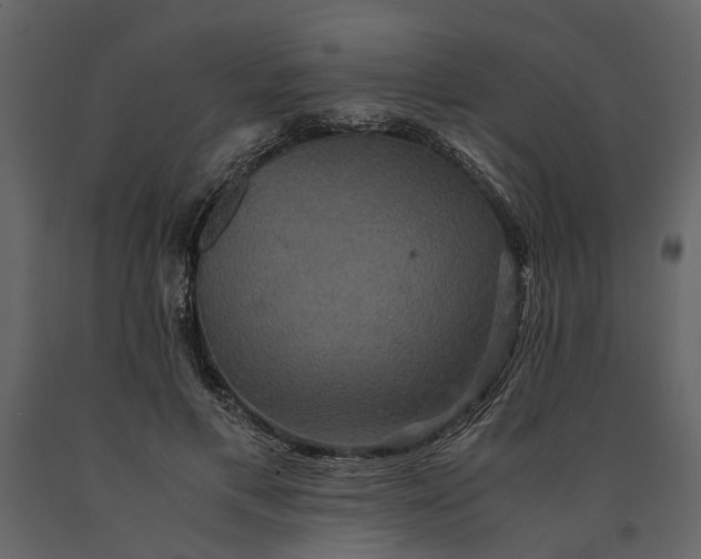 X0000091080597200708271238