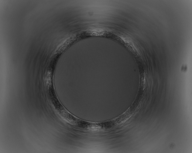 X0000091080598200708271238