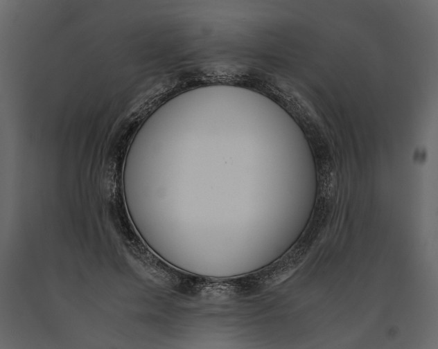 X0000091080599200708271238