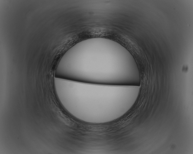 X0000091080601200708271237