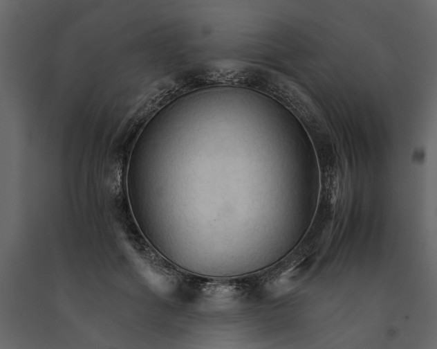 X0000091080602200708271237