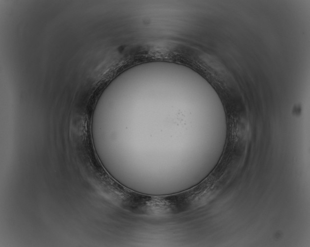 X0000091080603200708271237