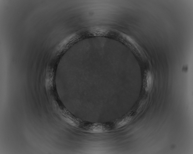 X0000091080604200708271237